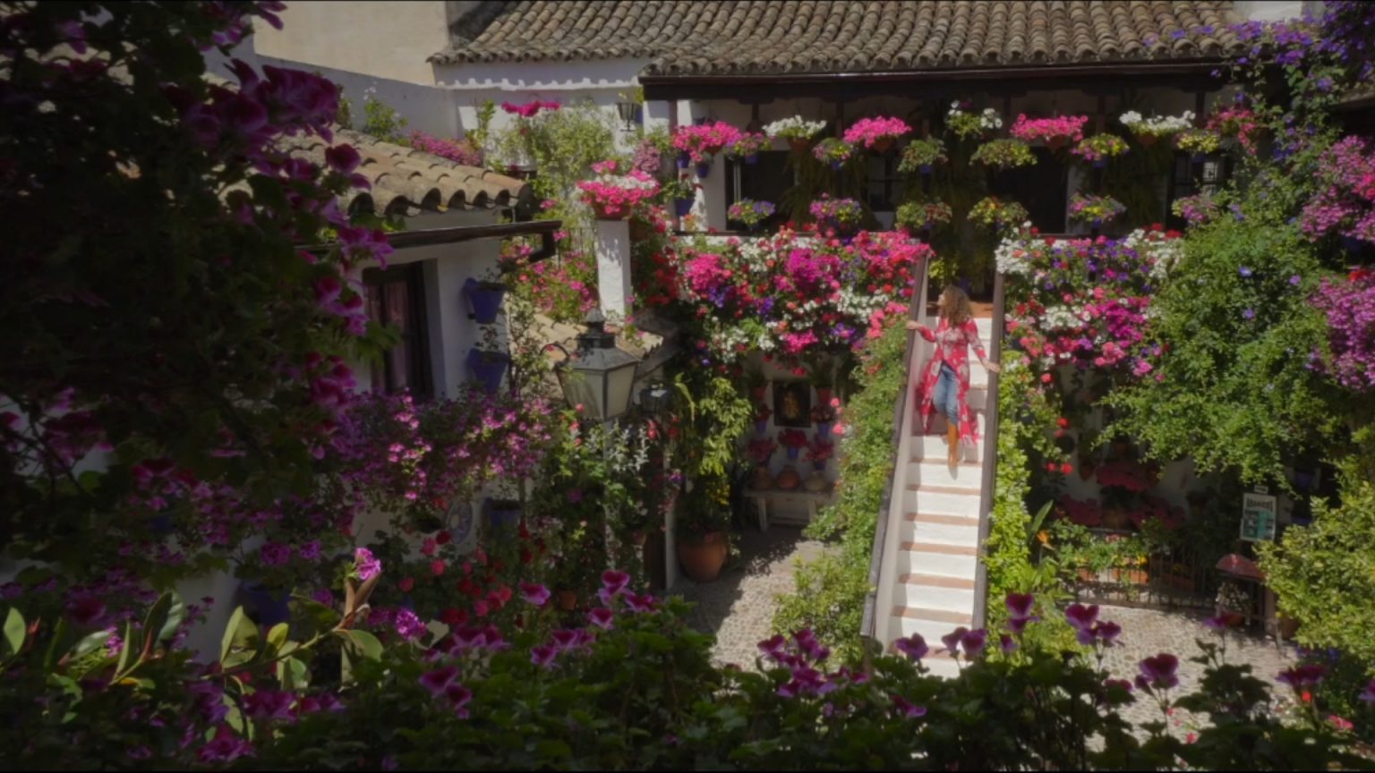 The Magic Cordoba